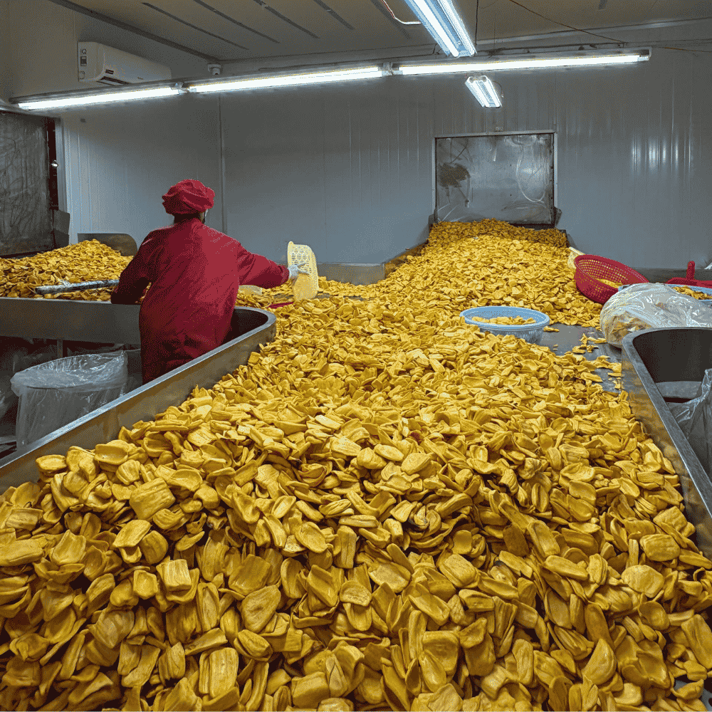 SVC Foods factory