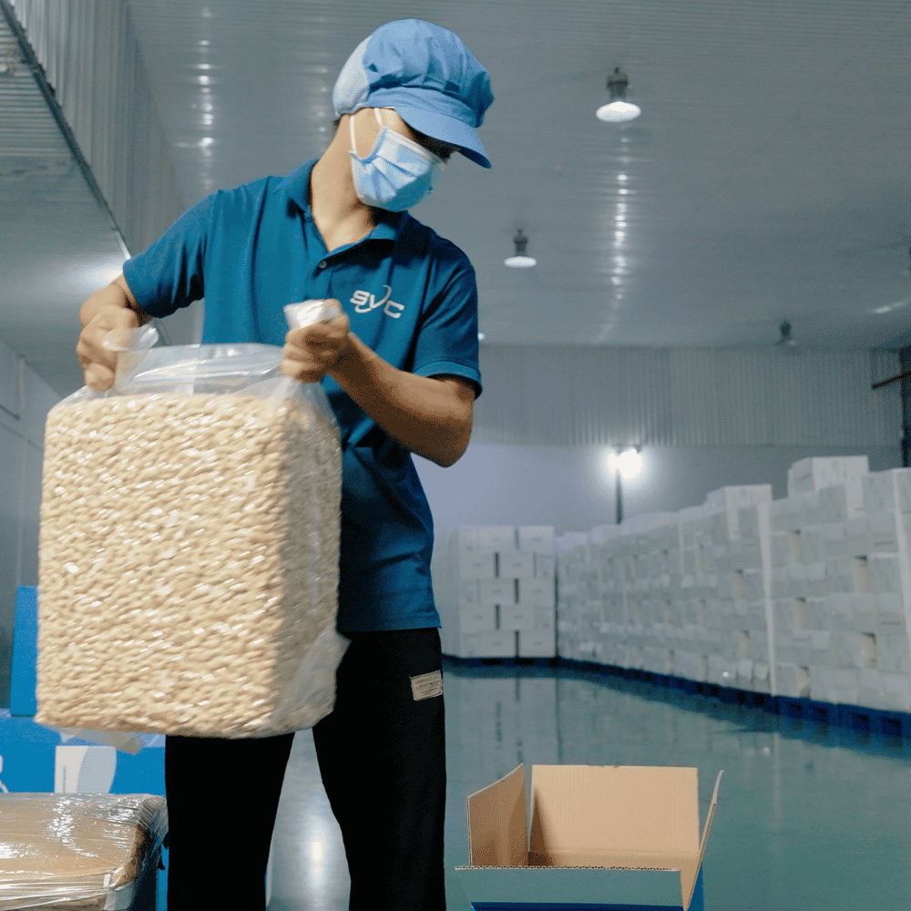 SVC Foods factory