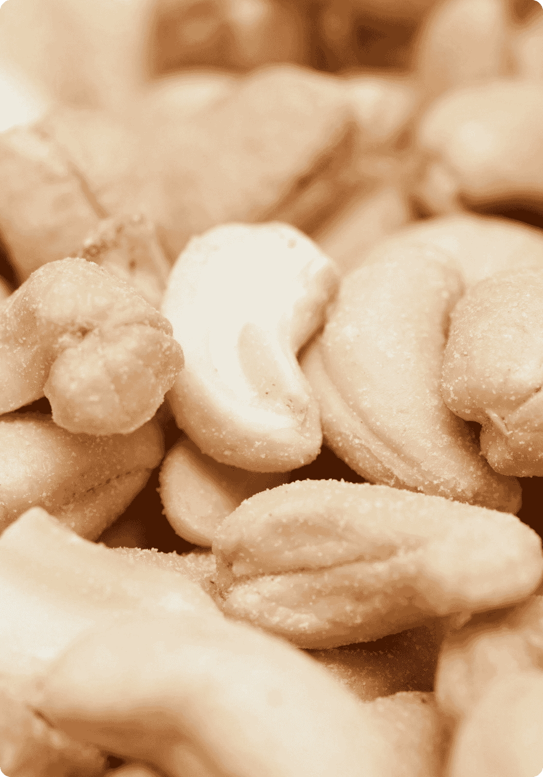 Salted Roasted Cashews