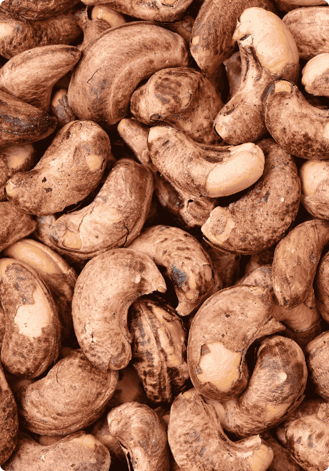 Salted Roasted Cashews